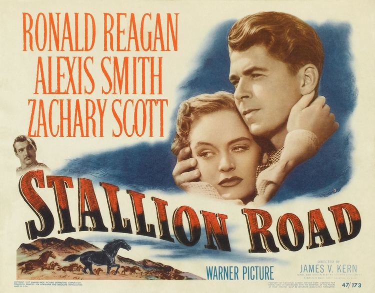 Stallion Road Stallion Road