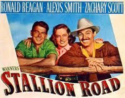 Stallion Road Lauras Miscellaneous Musings Tonights Movie Stallion Road 1947