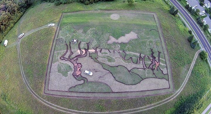 Stan Herd Artist Cultivates 12Acre Field Into Massive Crop Art Paying Homage