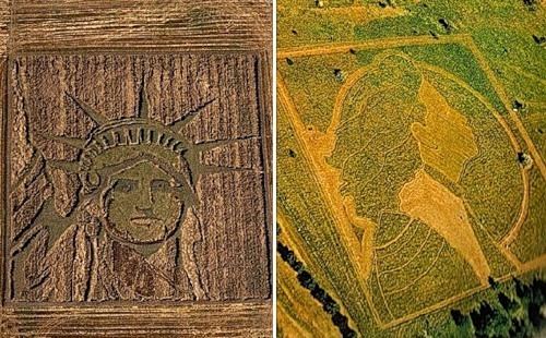Stan Herd Stan Herds Latest Crop Art Masterpiece Is Inspired By Van Gogh Kids