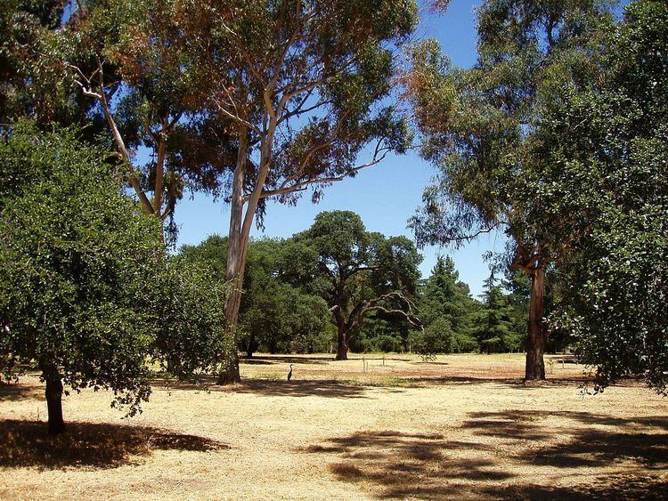 Stanford University Arboretum