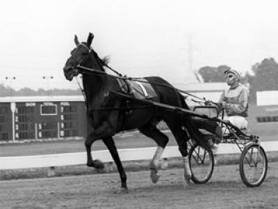 Stanley Dancer in a horse racing
