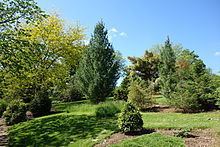 Stanley M. Rowe Arboretum httpsuploadwikimediaorgwikipediacommonsthu