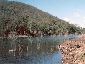 Stanley River (Queensland) httpsuploadwikimediaorgwikipediacommonsthu