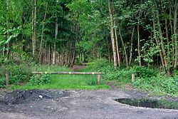 Stapleford Woods httpsuploadwikimediaorgwikipediacommonsthu