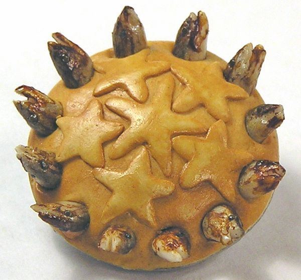 Stargazy pie 17 Best images about STARGAZY PIE RECIPES on Pinterest Fishing