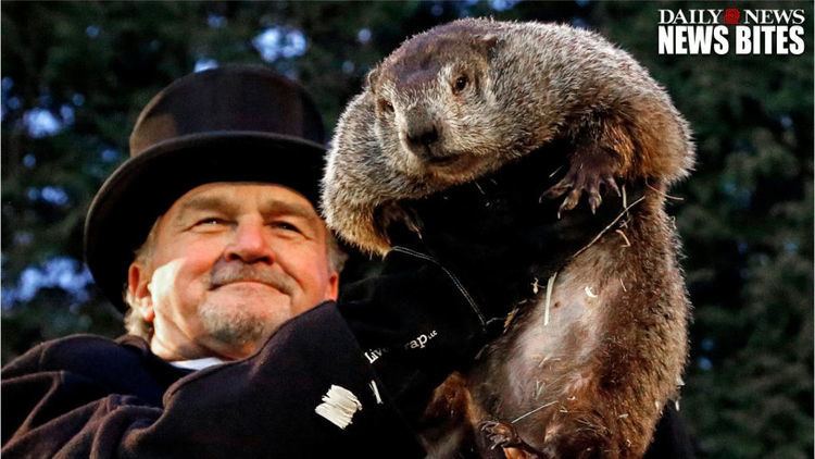 Staten Island Chuck SI Chuck Punxsutawney Phil offer conflicting Spring forecasts
