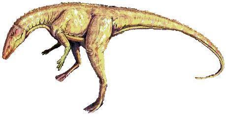 Staurikosaurus Staurikosaurus Dinosaur Facts information about the dinosaur