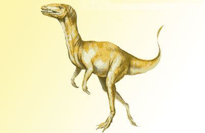 Staurikosaurus Staurikosaurus Dinosaur facts Staurikosaurus discovery