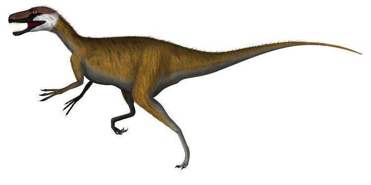 Staurikosaurus staurikosaurus DeviantArt