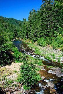 Steamboat Creek (Umpqua River) httpsuploadwikimediaorgwikipediacommonsthu