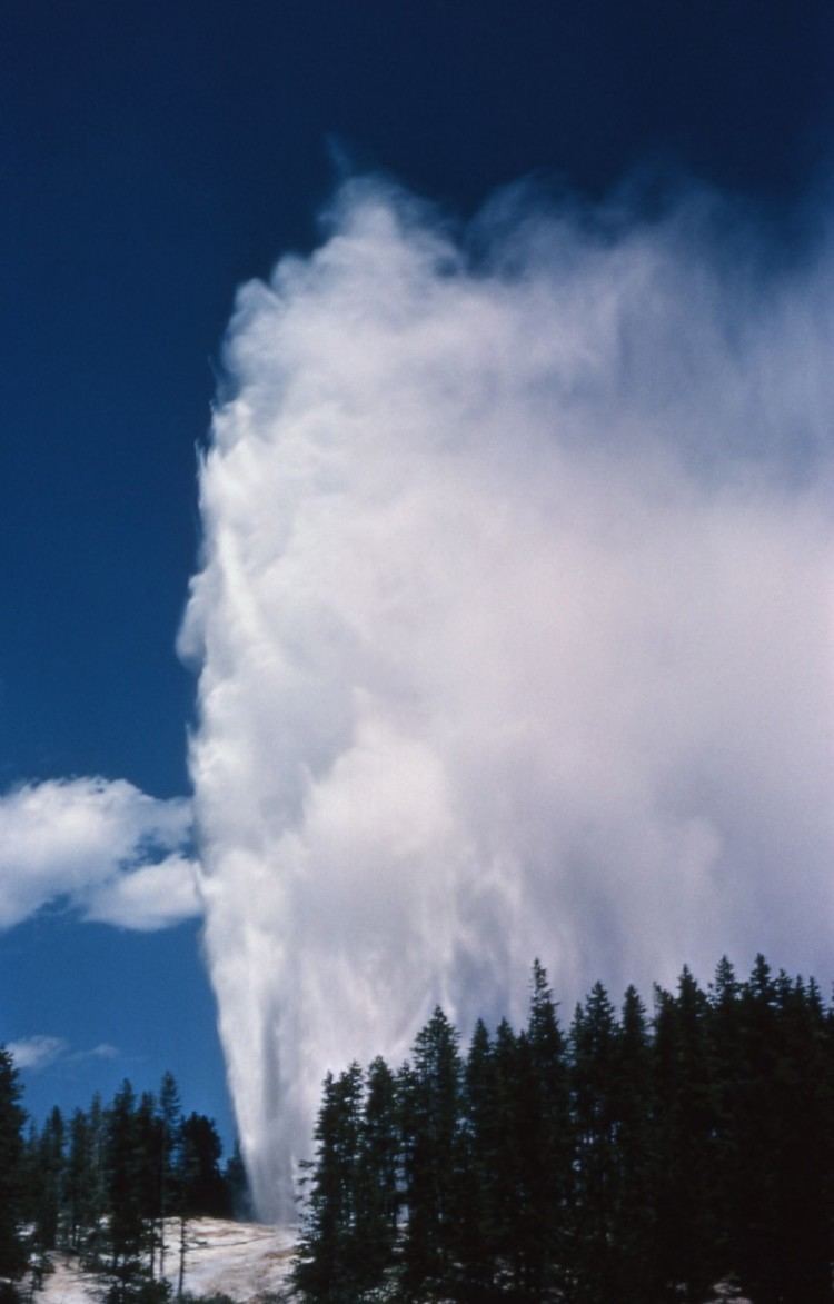 Steamboat Geyser Steamboat geyser world39s tallest erupts in Yellowstone after 8