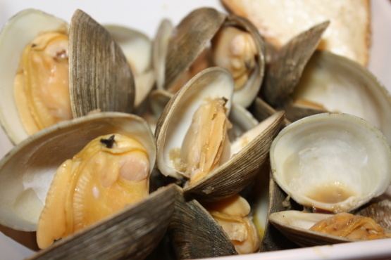 Steamed clams Steamed Clams Or Mussels Recipe Foodcom