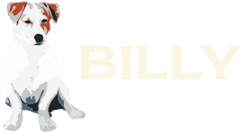 Steamin' Billy wwwsteaminbillycoukimglogopng