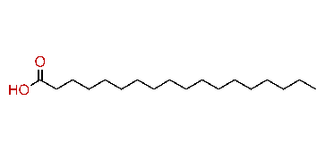 Stearic acid stearic acid Kovats Retention Index