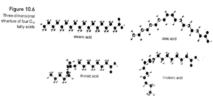 Stearidonic acid Solved Linolenic acid Table 102 and stearidonic acid are om