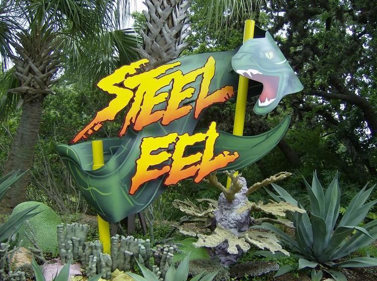 Steel Eel SeaWorld of Texas Steel Eel