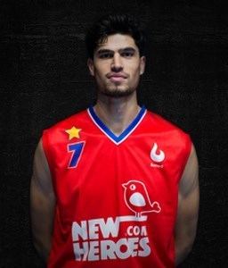 Stefan Wessels (basketball) Stefan Wessels basketball profile stats scout report and video