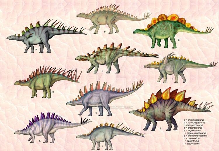 Stegosauria Stegosauria by cisiopurple on DeviantArt