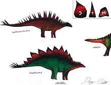 Stegosauria httpsuploadwikimediaorgwikipediacommonsthu