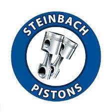 Steinbach Pistons httpsuploadwikimediaorgwikipediaen66fSte