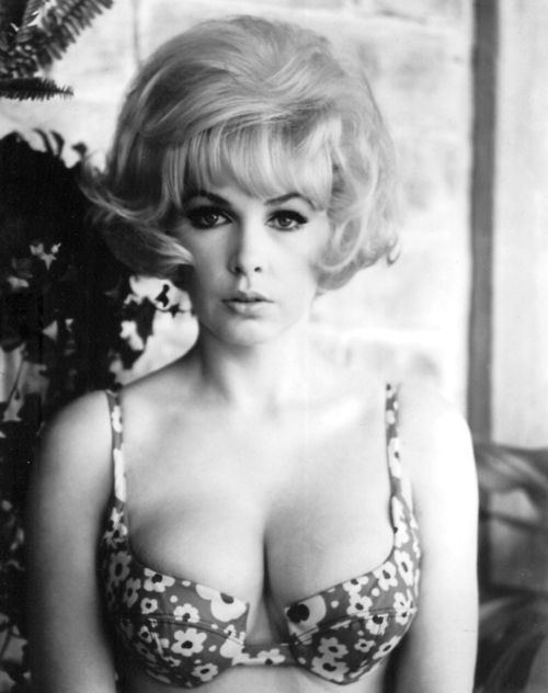 Playboy stella 1960 stevens 41 Hottest