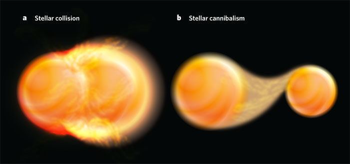 Stellar collision Figure 1 Astrophysics Stellar revival in old clusters Nature