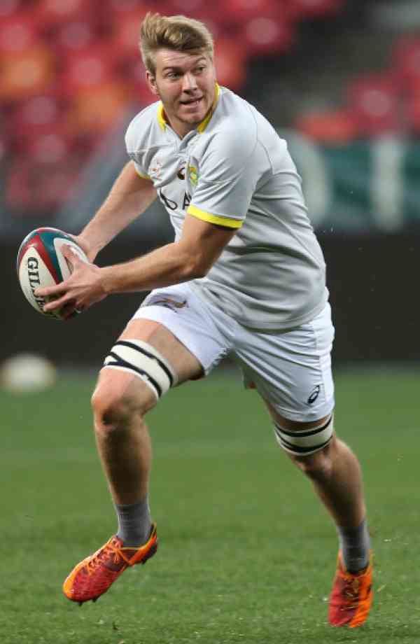 Stephan Lewies Stephan Lewies Ultimate Rugby Players News Fixtures and Live Results