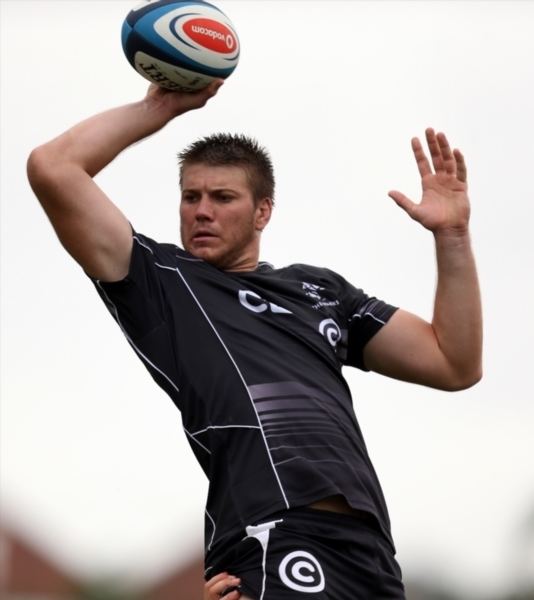 Stephan Lewies Super Rugby Sharks lock Stephan Lewies joins Springbok