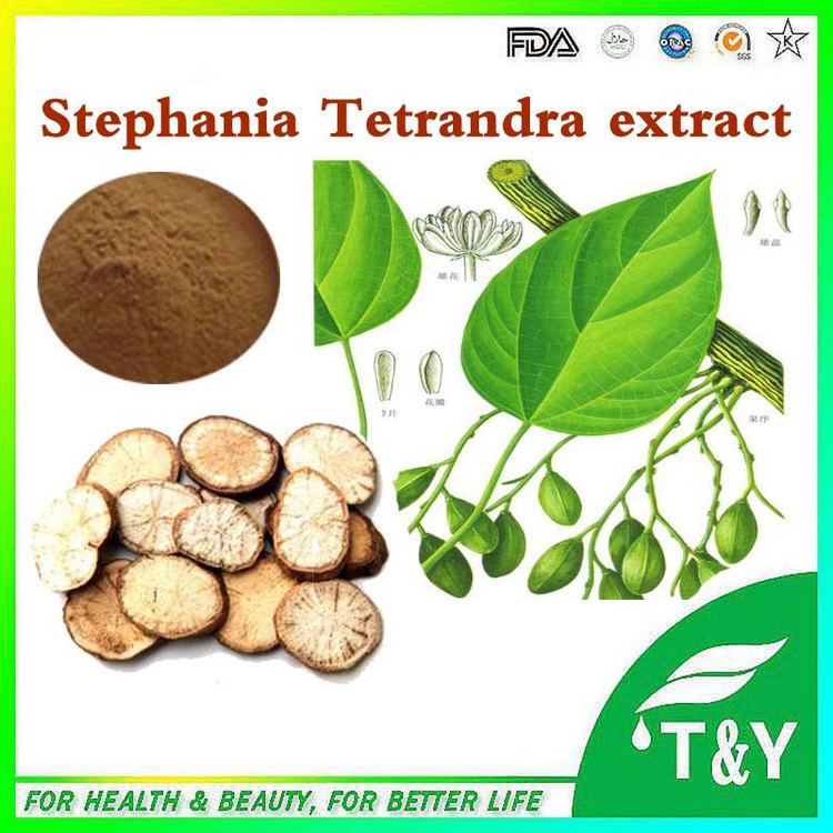 Stephania tetrandra Online Buy Wholesale stephania tetrandra from China stephania