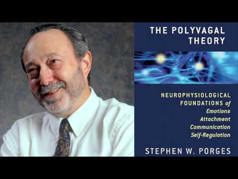 Stephen Porges Stephen W Porges The Polyvagal Theory Neurophysiological