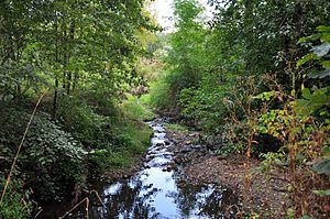 Stephens Creek (Oregon) httpsuploadwikimediaorgwikipediacommonsthu