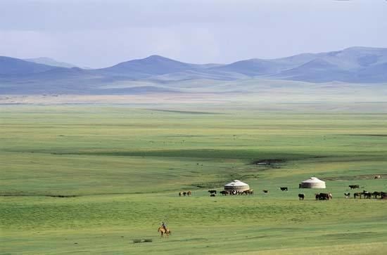 Steppe steppe grassland Britannicacom