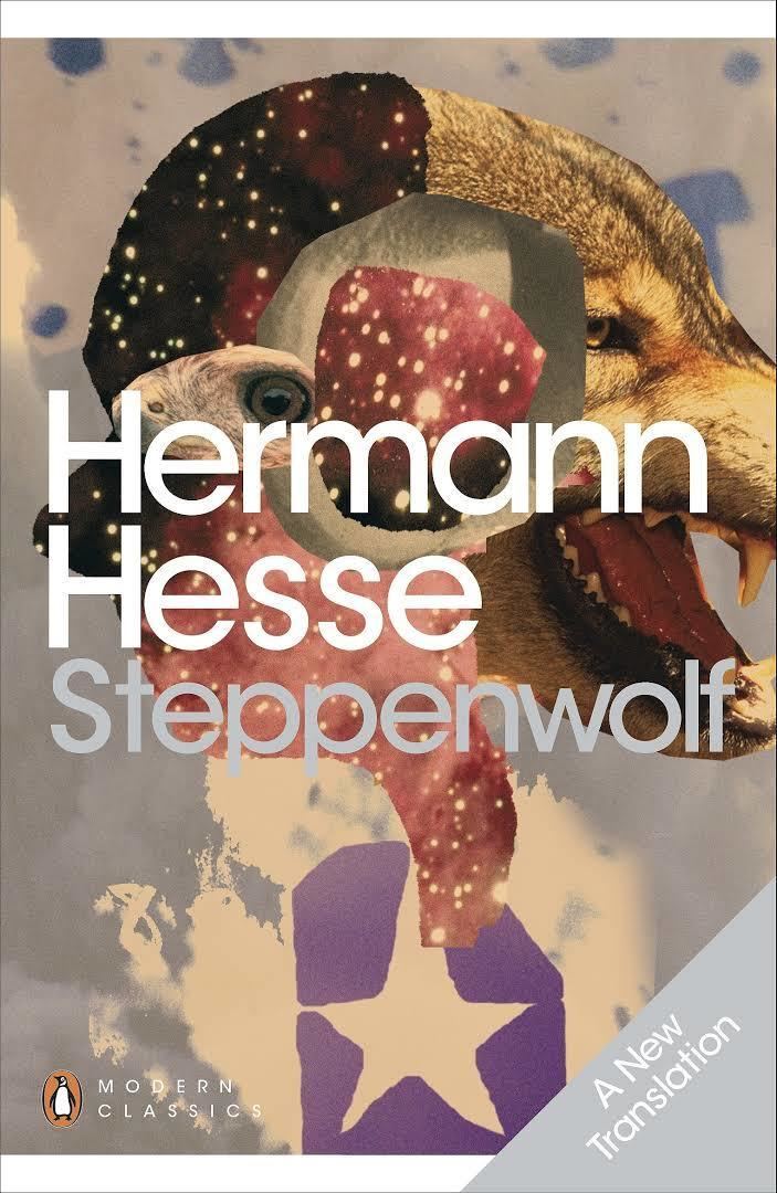 Steppenwolf (novel) t1gstaticcomimagesqtbnANd9GcQIHXn8xMfPEYIHA