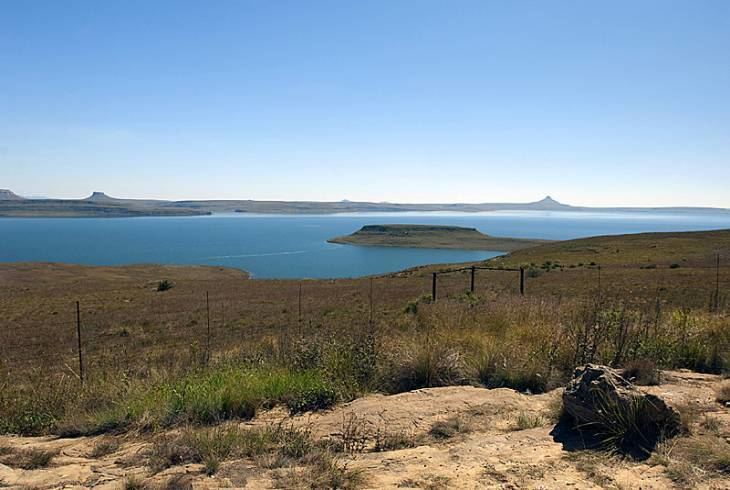 Sterkfontein Dam Nature Reserve Sterkfontein Dam Nature Reserve Information WhereToStaycoza