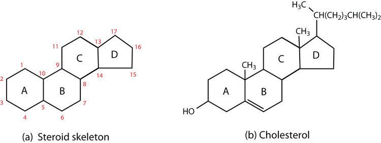 Steroid The Basics of General Organic and Biological Chemistry 10 FlatWorld