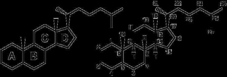 Steroid Types of Steroids Steroidalcom