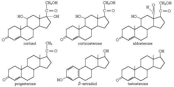 Steroid steroid chemical compound Britannicacom