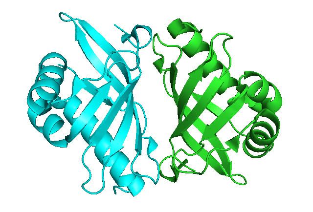 Steroid Delta-isomerase