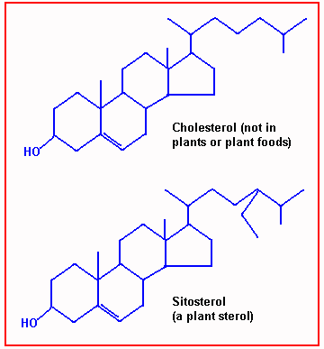 Sterol Plant Sterols and their Cholesterol Lowering Effects HartsSpace