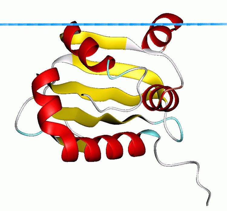 Sterol carrier protein