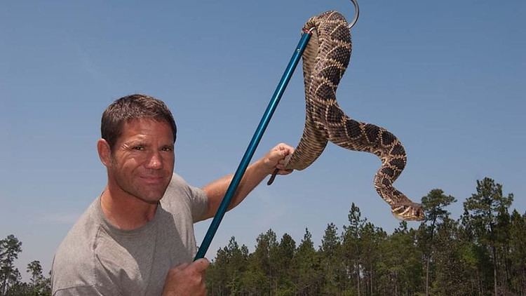 Steve Backshall Steve Backshall Wikipedia