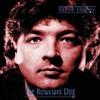 Steve Holley irishusacomholleyholleycdcoverjpg