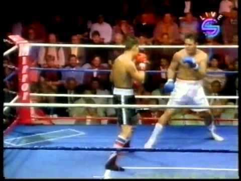 Steve McCarthy (boxer) Dariusz Michalczewski vs Steve McCarthy YouTube