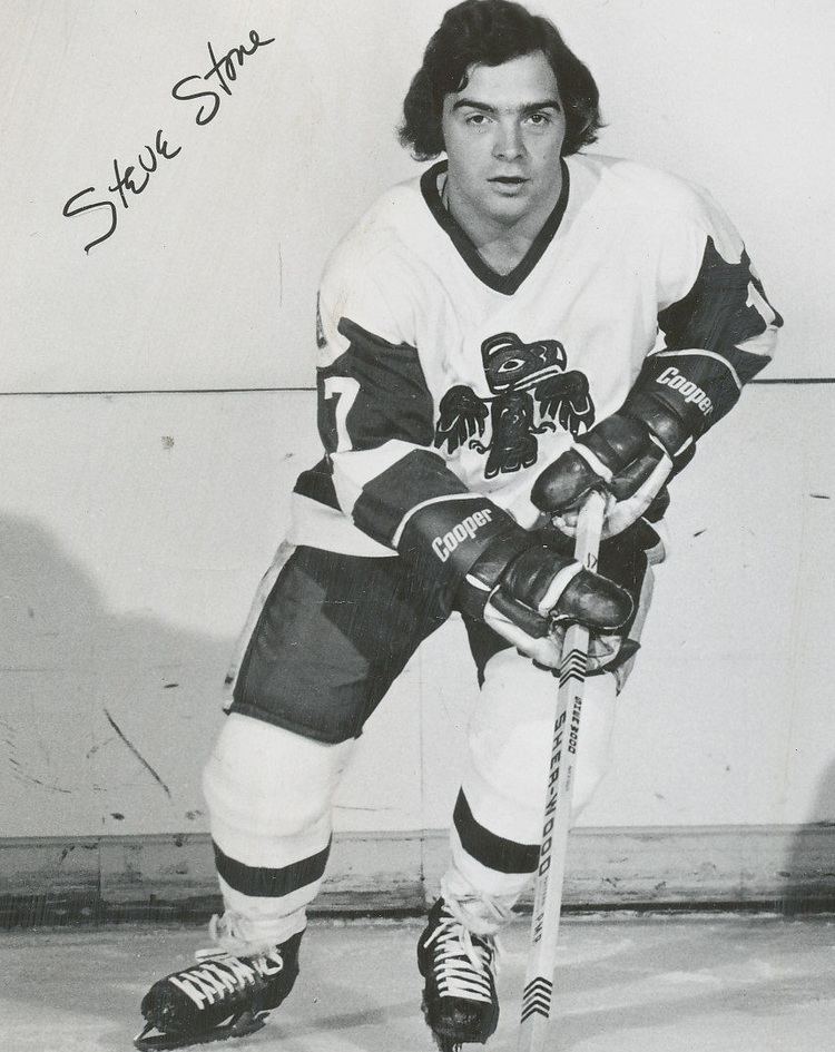 Steve Stone (ice hockey)