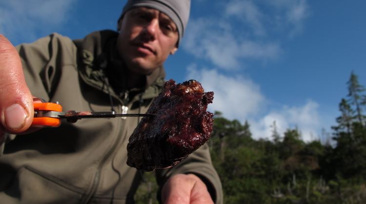 Steven Rinella An Introduction to MeatEater by Steven Rinella Sportsman