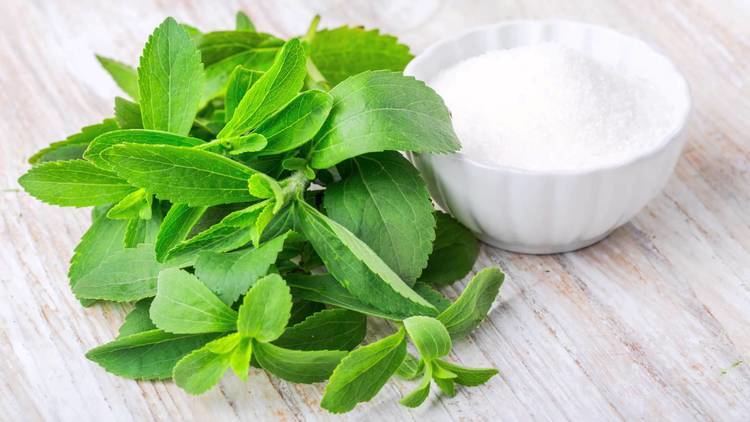 Stevia Stevia Is it the Best Sugar Substitute YouTube