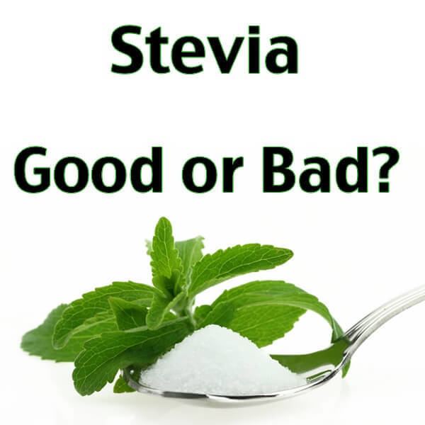 Stevia httpsdraxecomwpcontentuploads201404Stevi