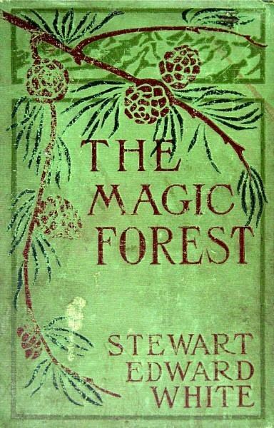 Stewart Edward White The Magic Forest Content Page