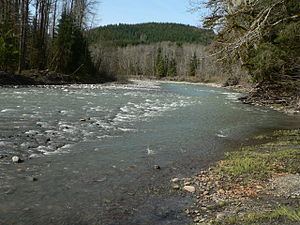 Stillaguamish River httpsuploadwikimediaorgwikipediacommonsthu